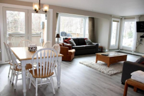 Trailside Village #5 - Slopeside 1BR with Hot Tub and Sauna, Ski In Ski Out on Great Eastern Trail